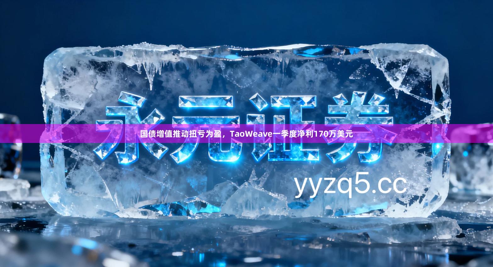 国债增值推动扭亏为盈，TaoWeave一季度净利170万美元