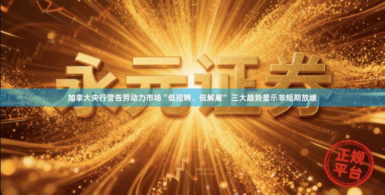 加拿大央行警告劳动力市场“低招聘、低解雇” 三大趋势显示非短期放缓