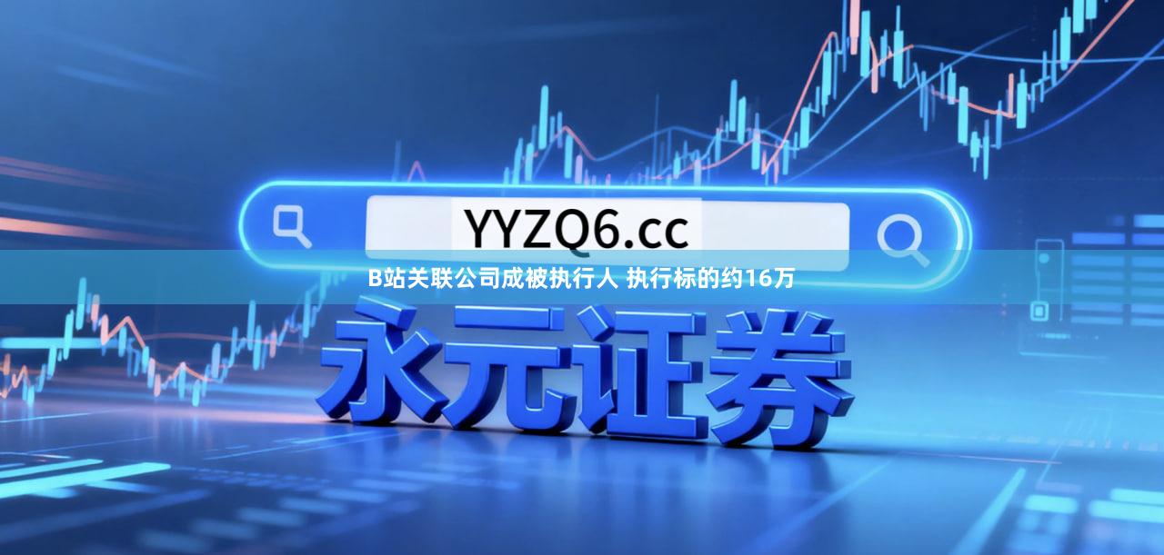 B站关联公司成被执行人 执行标的约16万